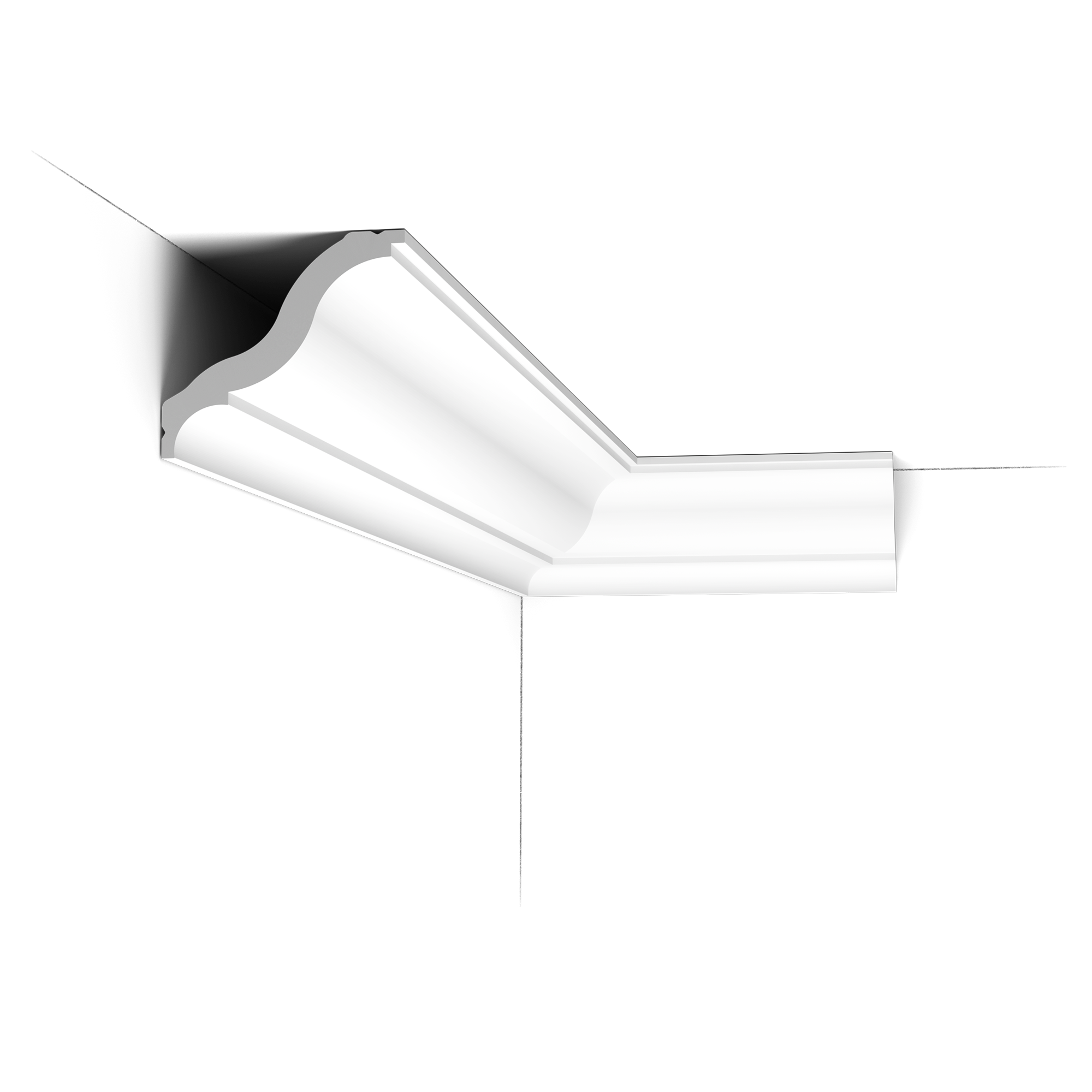 CB503N