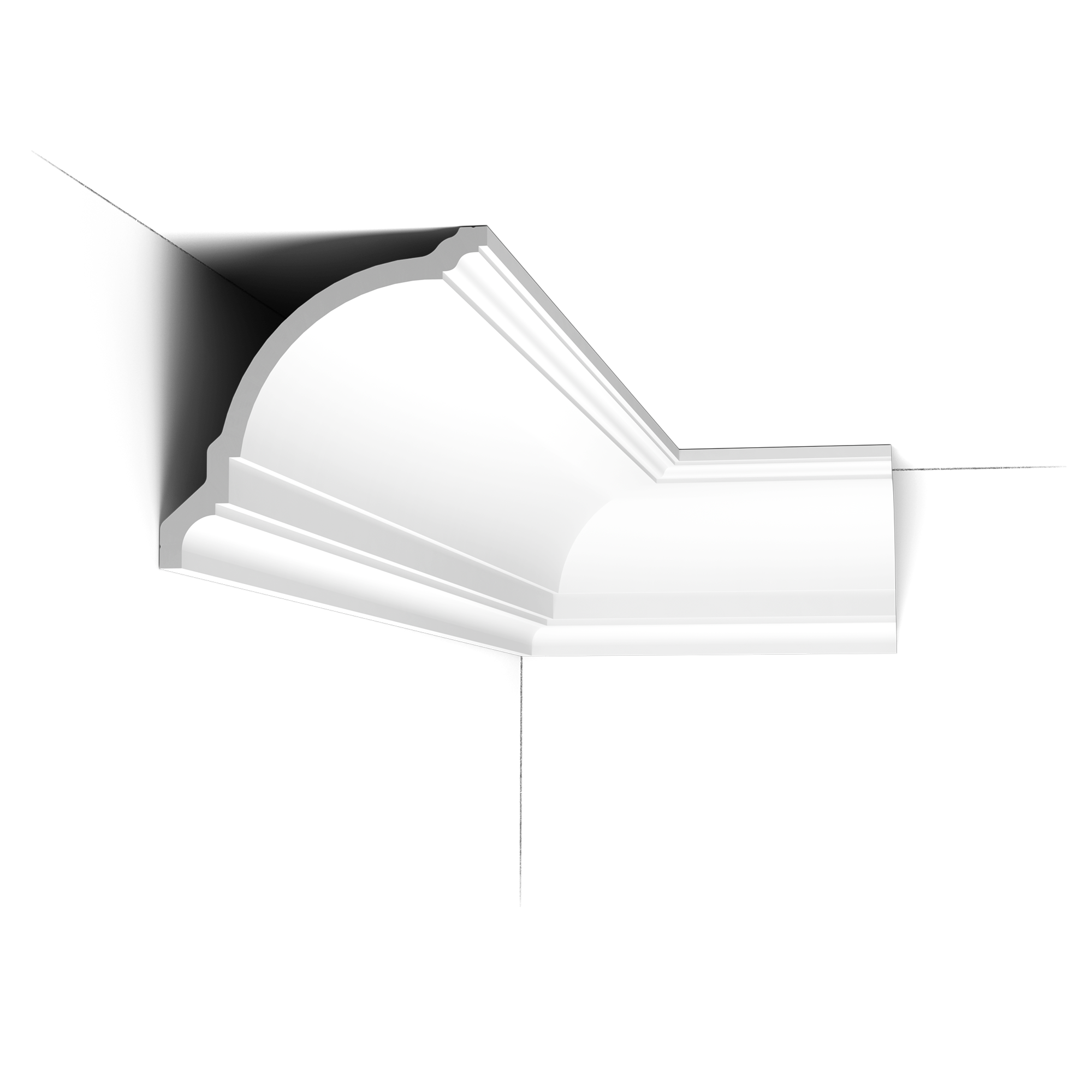 CX203