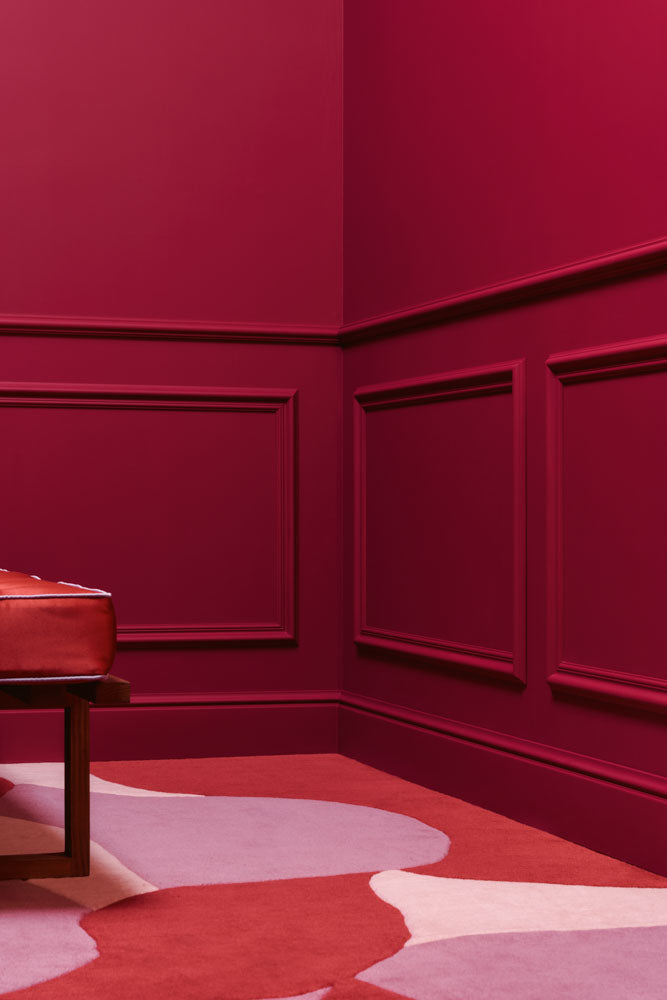 SX118 - RAL9003 CONTOUR